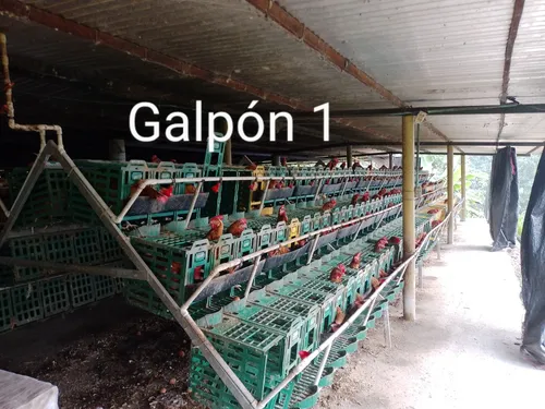 Vendo O Permuto Finca