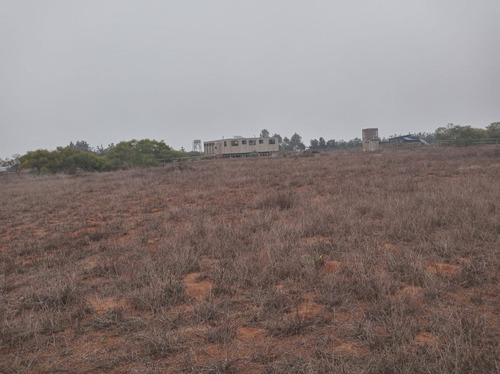 Se Vende Parcela Con Cassa En Tunquen, Comunidad Ecológica