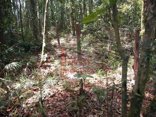 Imagem 6 de 7 de Terreno - Ref: 2985 - V-2985
