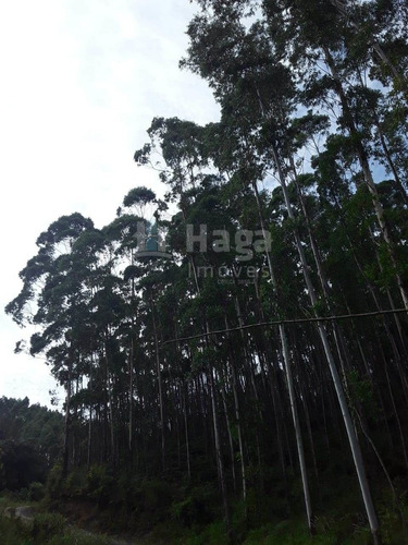 Chácara À Venda No Bairro Chapadão Figueira - Botuverá/sc - 1412c