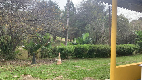 Imagem 8 de 19 de 20.000 M² Pomar Lago Ótima Localização Perfeita Para Moradia