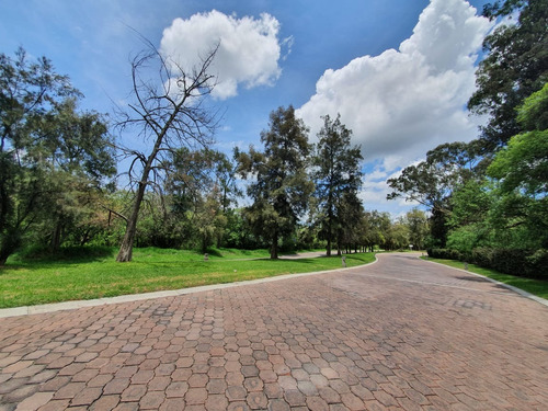 Venta Lote San Diego 54 Mz Xvi Muy Cerca De La Entrada Y De Las Amenidades Del Fracc Rancho San Diego Ixtapan De La Sal Edomex