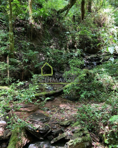 Imagem 12 de 25 de Excelente Terreno Com Cachoeira, Á Venda Em Bom Retiro Sc - Te00033 - 70480671