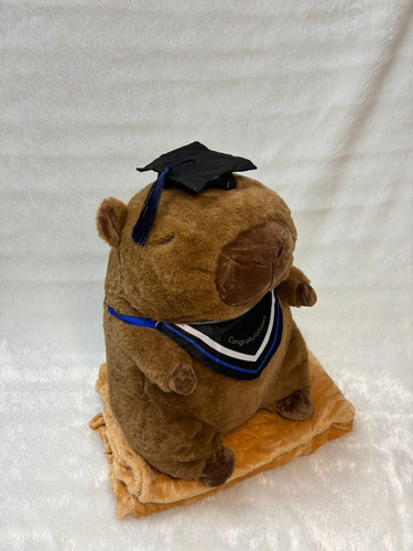Peluche Capibara Carpincho Con Manta Varios Modelos 40cm Capibara Egresado