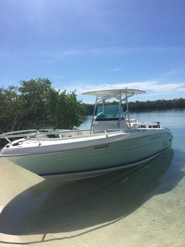 Lancha Promarine 24 Lv534