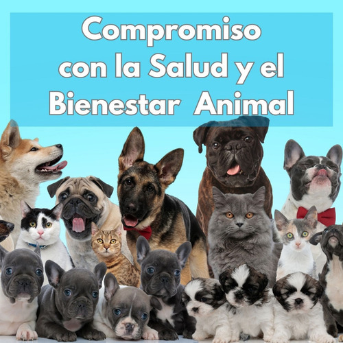 Comida Para Perros Advance Bio 12 Kg Alimento Balanceado