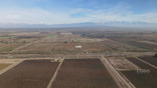 47 Hectareas De Campo Con Gran Frente En Ruta Nacional 40 (acceso Sur) Ugarteche Lujan De Cuyo