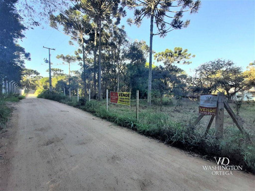 Imagem 4 de 16 de Chácara À Venda, 31000 M² Por R$ 600.000,00 - Cachoeira - São José Dos Pinhais/pr - Ch0066