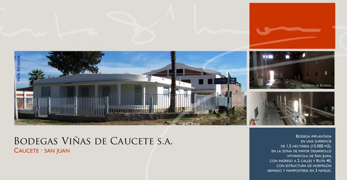Bodega Viñas De Caucete S.a