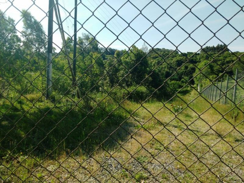 Imagem 3 de 5 de Area Industrial - Linha Julieta - Ref: 6902 - V-6902