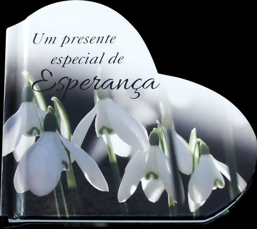 Um presente especial de esperança, de Exley, Helen. Editorial HELEN EXLEY, capa dura em português, 2015