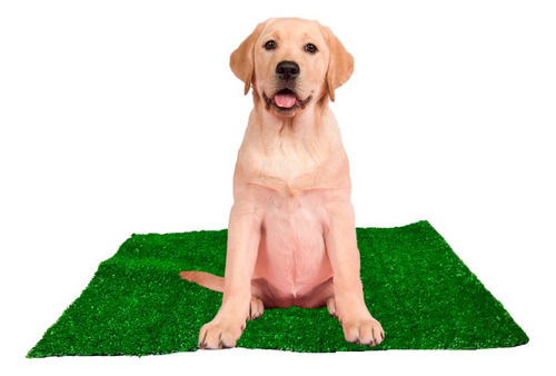 Imagem 1 de 8 de Sanitario Canino Banheiro P/ Cães Tapete Sintetico Grama Pet