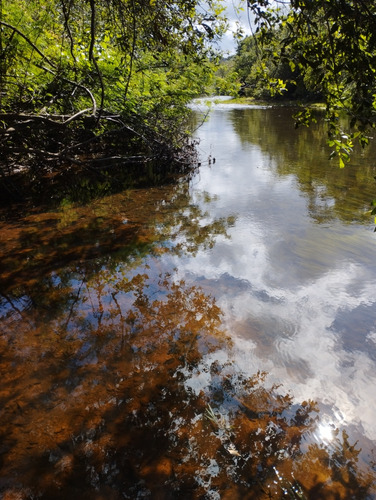 Em São Gonçalo Do Rio Preto Minas Gerais Sitio