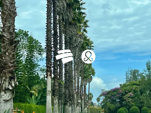 Lote Residencial En Venta En Llanogrande