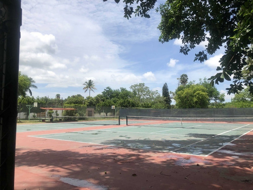Imagen 6 de 14 de Venta De Terrenos En Ticuman Morelos
