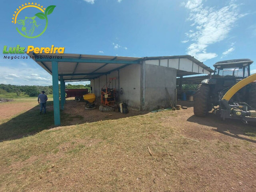 Imagem 14 de 15 de Fazenda À Venda Em Vale Do Araguaia - T0 - 20% De Reserva (dupla Aptidão) - 1738