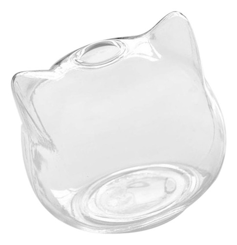 Cabeça De Gato Planta Hidropônica Vaso De Flores