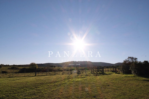 Imagen 15 de 19 de Campo Con Haras En Venta De 133 Hectáreas Ubicado En Pan De Azúcar