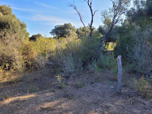 Terreno En San Javier Córdoba Traslasierra Lotes Venta