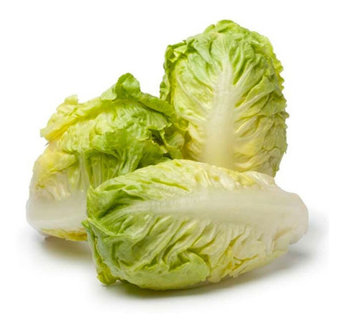 Semillas De Lechuga Baby Sucrine 1 Gr Rinde Hasta 800 Planta