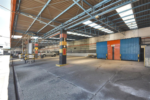 Imagem 3 de 22 de Comercial-são Paulo-lapa | Ref.: Reo459981 - Reo459981