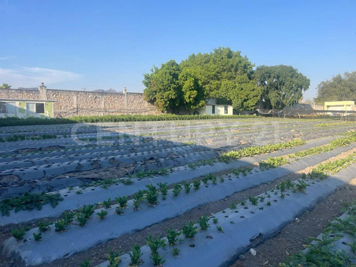 En Venta Terrenos En Itzamatitlán, A 10 Min. De Caseta De Oacalco, Morelos