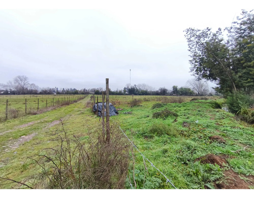 Venta Parcela 2 Hectáreas 1/4 A Orilla De Camino (177213)