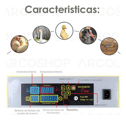Hhd 48 ovos, galinhas e incubadora de aves com giro automático