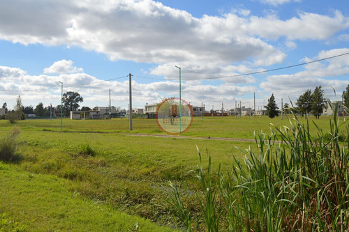 Imagen 6 de 30 de Terreno Lote En Venta Ubicado En Manuel B Gonnet, La Plata