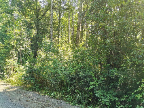 Hermosa Parcela A 4 Km De Pucón