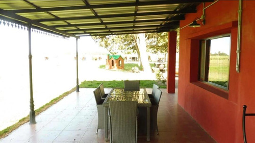 Imagen 14 de 26 de Quinte En Venta - 5 Dormitorios 3 Baños - 37ha Totales - Campo Funke