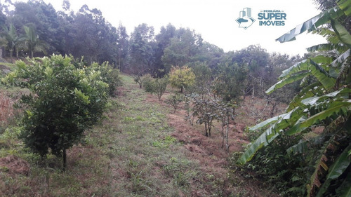 Sítio A Venda No Bairro Centro Em Arroio Do Padre - Rs. - 1604-1