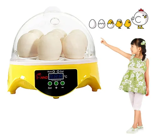 comprar Mini Incubadora Digital Ovos Transparentes Incubadora Egg