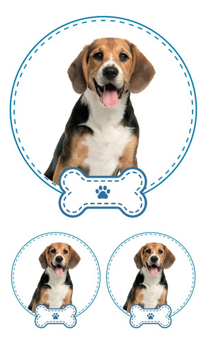 Beagle Sticker 3 Pza Mascota Niño Impresion Alta Calidad