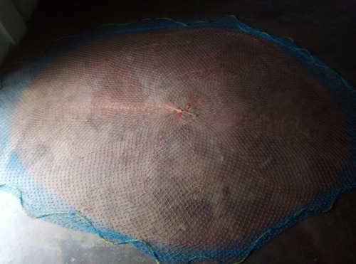 Tarraya De Pesca Oferta