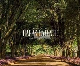 Terreno À Venda, 800 M² Por R$ 550.000,00 - Jaguariuna - Jaguariúna/sp - Te0748
