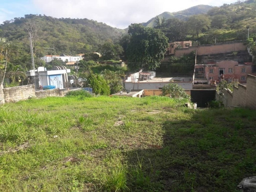 Imagen 7 de 11 de En Venta Amplio Terreno En Colinas De Guataparo Valencia, Totalmente Cercado Con Pared Perimetral