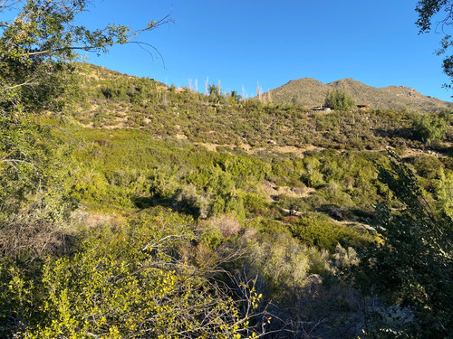 Parcela Orilla Estero / Condominio San Esteban / Los Andes