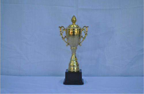 Trofeo Copa Oro 30cm Jcimportaciones 