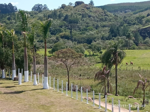 Imagem 12 de 26 de Tm- Vendo Lote Barato Tratar Direto Com Proprietário
