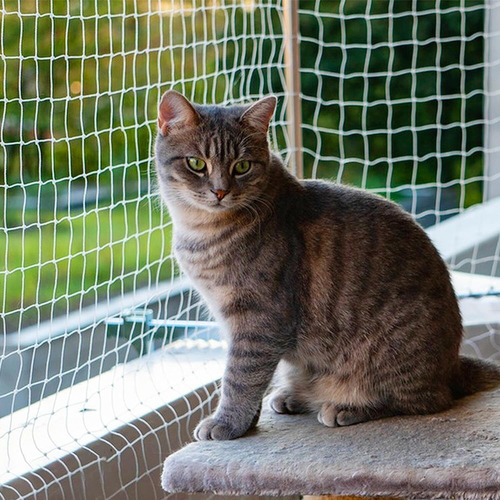 Red De Nailon Para Mascotasred Protectora, Red De Seguridad