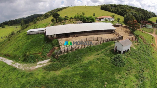 Imagem 13 de 15 de Fazenda - Zona Rural - Ref: 4755 - V-mta4755