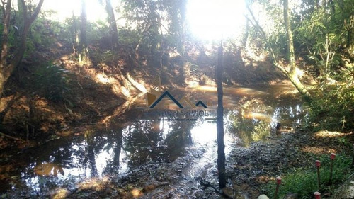 Imagem 14 de 15 de Chácara Com Nascente, Lago E Pomar. - 172