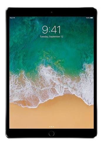 iPad Apple Pro 2017 A1709 10.5  Lte 512gb Space Gray 4gb (Reacondicionado)