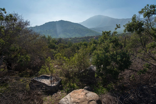 Parcela En Venta Reserva Ecológica Palmas De Ocoa