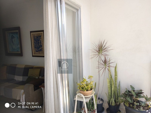 Imagem 5 de 29 de Apartamento A Venda No Bairro Tijuca Em Teresópolis - Rj. - Ap 0737-1