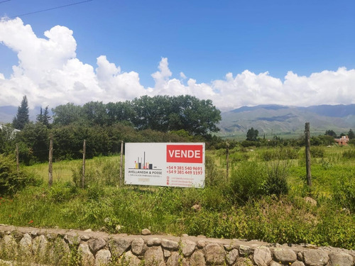 Imagen 6 de 6 de Quebradita, Tafi Del Valle