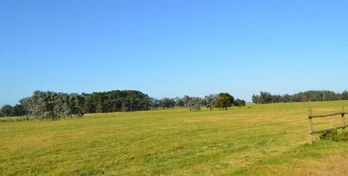 Campo En Venta