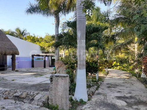 Rancho Tipo Hacienda De 36 Has En Telchac Pueblo Con Cenote. A 42 Kms De Mérida
