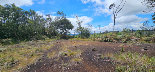 Venta De Lote En Guarne Antioquia Vereda Piedras Blancas